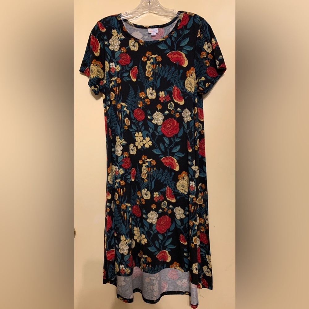 LuLaRoe Carly dress